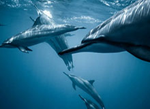 星空体育官方网站：开启你的星空体育新视界